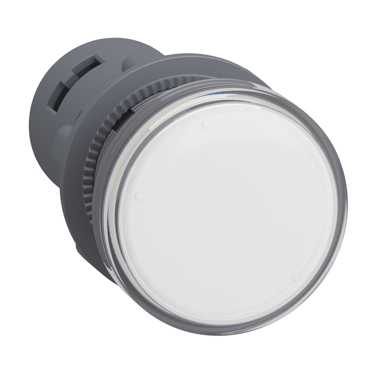 XA2EVB1LC Schneider Electric round pilot light Ø 22 - white - integral LED- 24 V AC/DC- screw clamp terminals