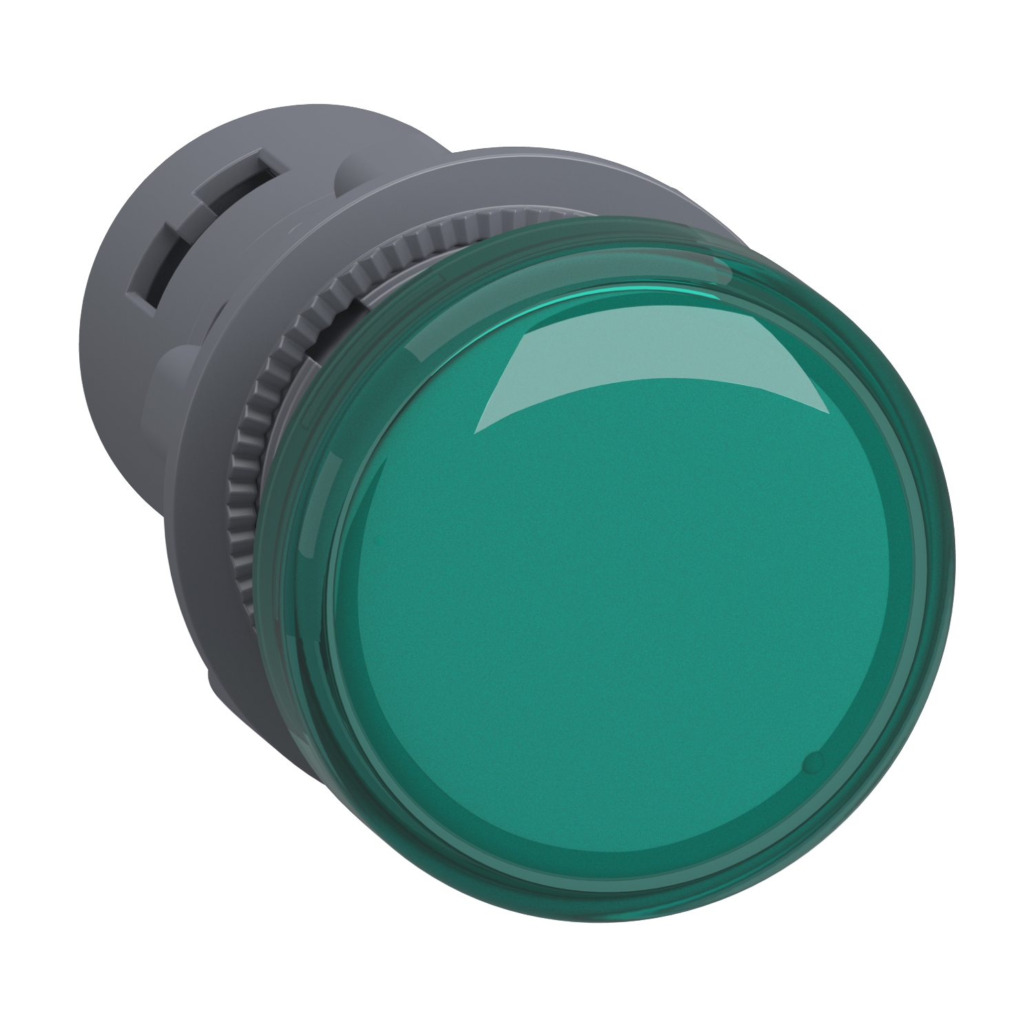 XA2EVF3LC Schneider Electric round pilot light Ø 22 - green - integral LED - 110 V AC - screw clamp terminals